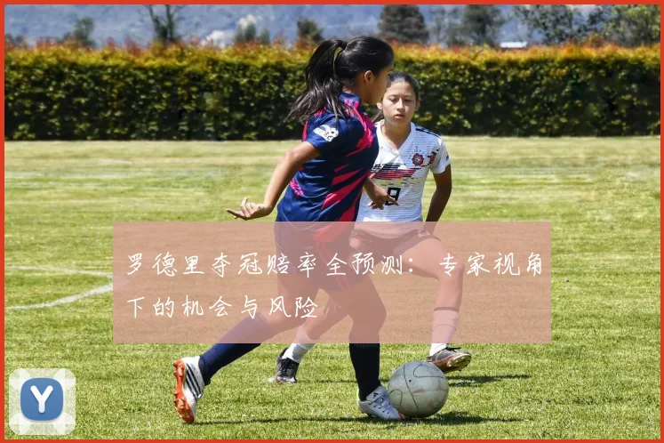 罗德里夺冠赔率全预测：专家视角下的机会与风险